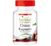 Cissus - 90 Cápsulas - 97909