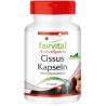 Cissus - 90 Cápsulas - 97909