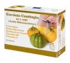 Garcinia Cambogia (60 caps)