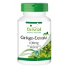 Extracto de Ginkgo 100mg - 90 Cápsulas - 95709