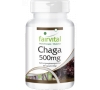Chaga - Hongo puro 500mg - 90 cápsulas