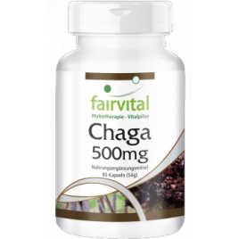 Chaga - Hongo puro 500mg - 90 cápsulas