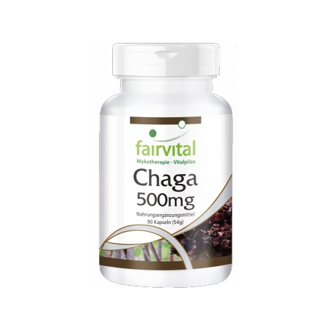 Chaga - Hongo puro 500mg - 90 cápsulas