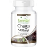 Chaga - Hongo puro 500mg - 90 cápsulas