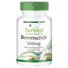 Aceite de borraja 500 mg - 120 Licaps