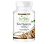 Cordyceps 500mg - 90 cápsulas