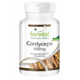Cordyceps 500mg - 90 cápsulas