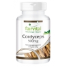 Cordyceps 500mg - 90 cápsulas
