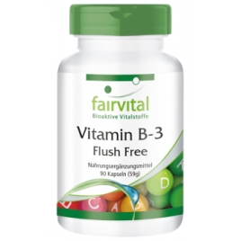 Vitamina B-3 Niacina sin rojeces - 90 Cápsulas