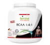 BCAA 1 4 1 - 1kg