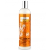 Champú vitalidad y brillo cabello maltratado-POWER C ,400ml