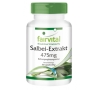 Extracto de salvia 475mg - 90 Cápsulas